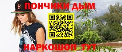 гидра Можга
