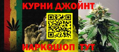 гидра Можга