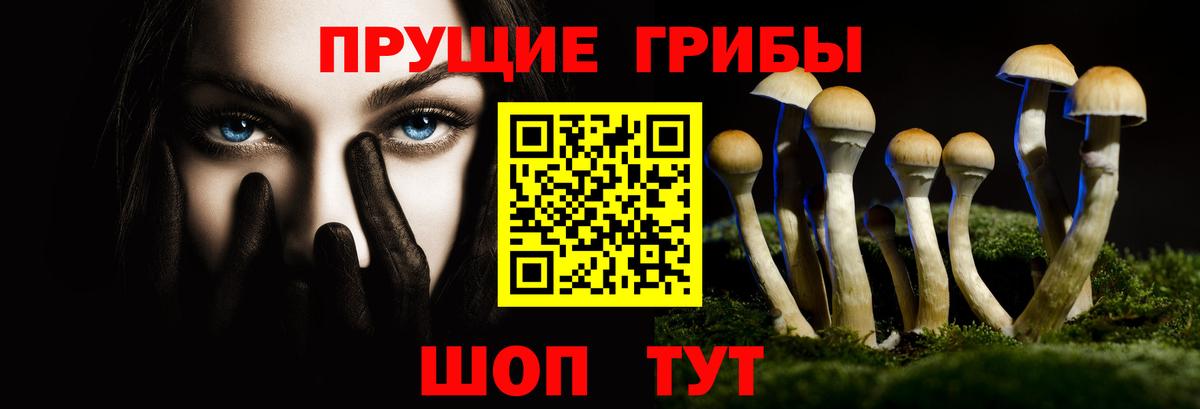 Псилоцибиновые грибы Cubensis Чайковский